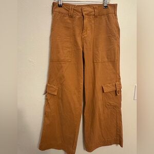 Pilcro wide leg Tan Cargo Pants size 25